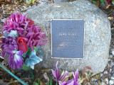 image of grave number 619296